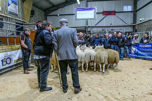 220916 NCC Quoybrae 077