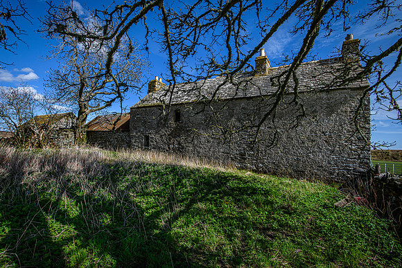 210516 Dalemore 048