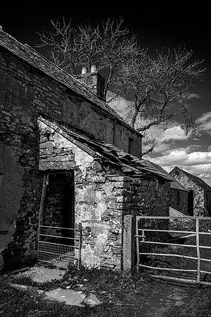 210516 Dalemore 077