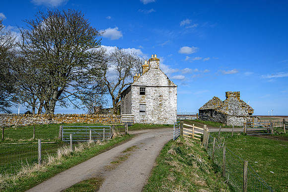 210516 Dalemore 061