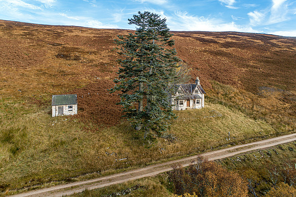 201107 Craggie 050