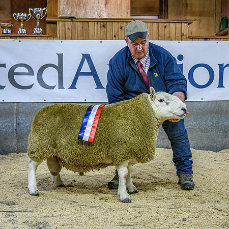 241102 Lairg Hill NCC Show - Champion
