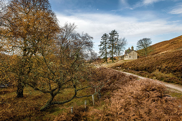 201107 Craggie 054