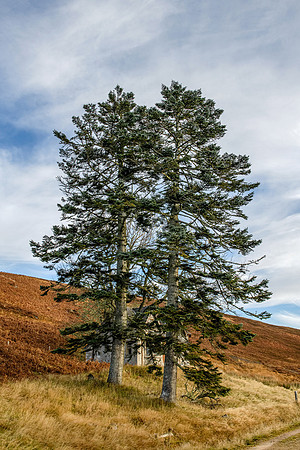 201107 Craggie 057