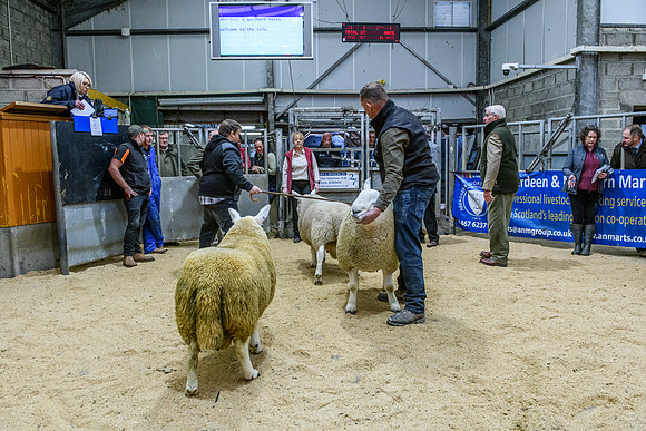 220916 NCC Quoybrae 157