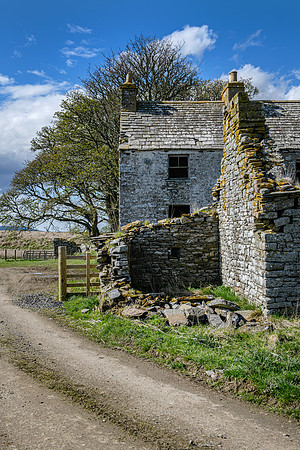 210516 Dalemore 097