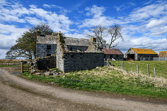 210516 Dalemore 003