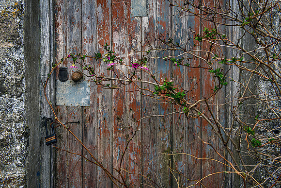 220326 Benny's Croft 015