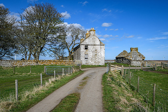 210516 Dalemore 059