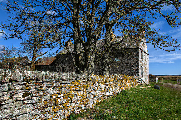 210516 Dalemore 096