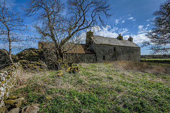 210516 Dalemore 045