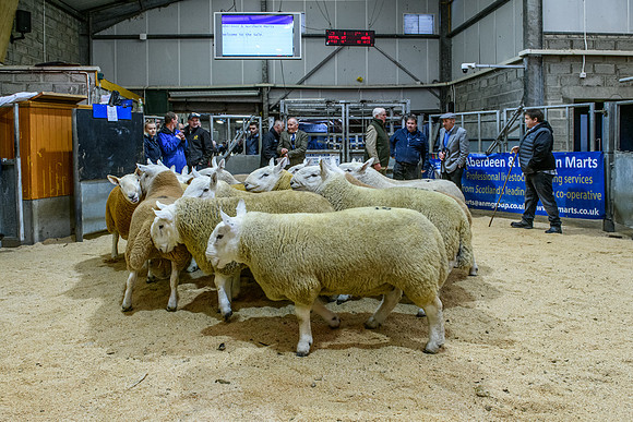 220916 NCC Quoybrae 032