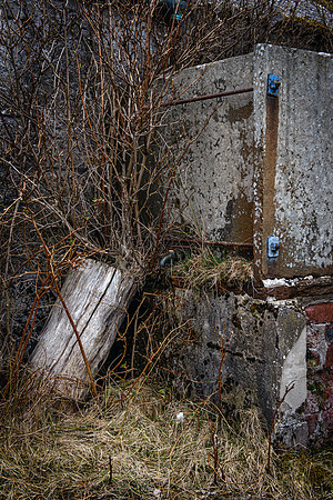 220326 Benny's Croft 022