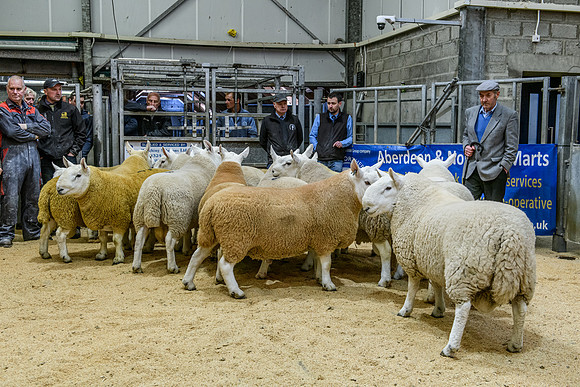 220916 NCC Quoybrae 042