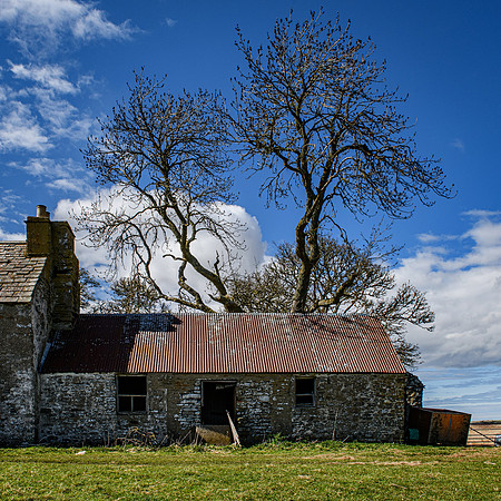 210516 Dalemore 081