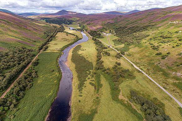 240820 Torrish 029