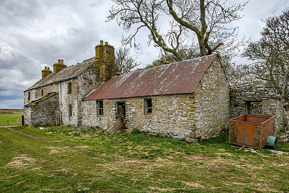 210517 Dalemore 074