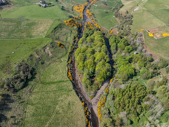250510 Dunbeath 106