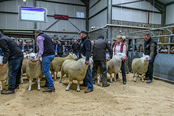 220916 NCC Quoybrae 123