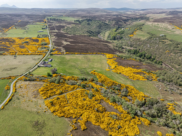 250510 Dunbeath 147