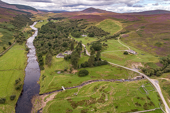 240820 Torrish 100
