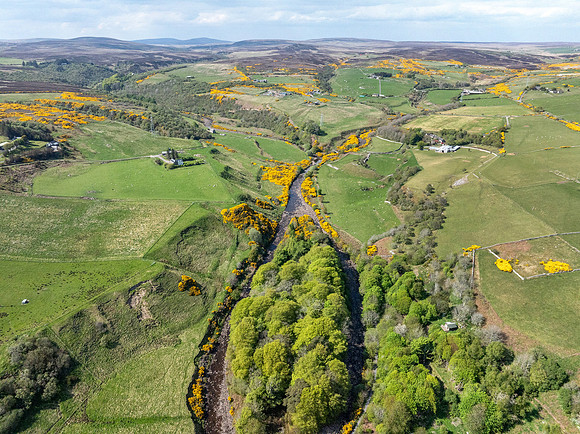 250510 Dunbeath 104