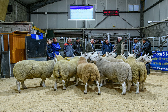 220916 NCC Quoybrae 037