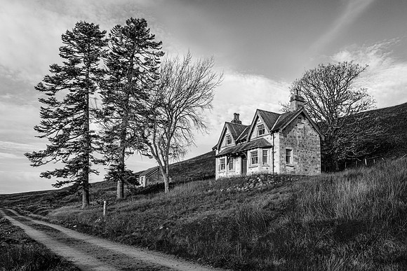 201107 Craggie 073_1