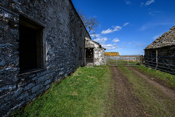 210516 Dalemore 016