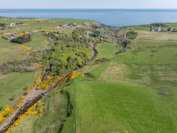 250510 Dunbeath 126