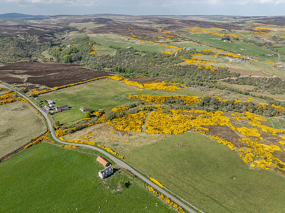 250510 Dunbeath 143