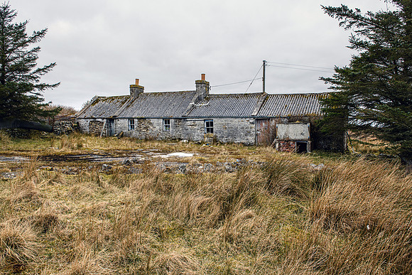 220326 Benny's Croft 004