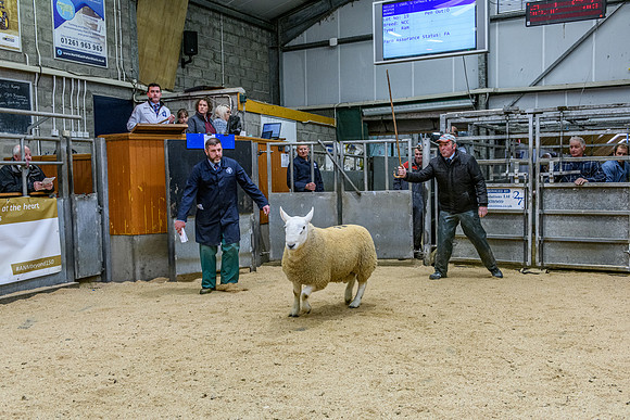 220916 NCC Quoybrae 229