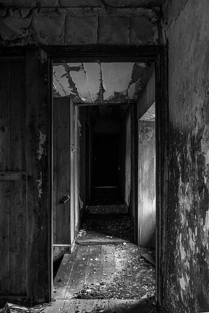 210517 Dalemore 140