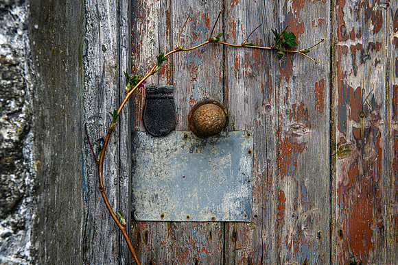 220326 Benny's Croft 017