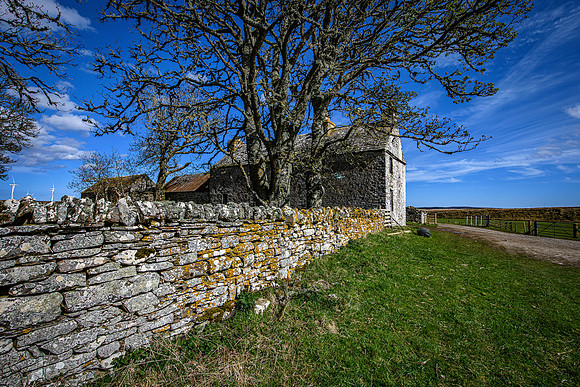 210516 Dalemore 050