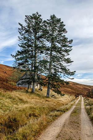 201107 Craggie 055