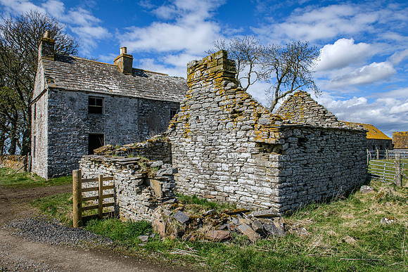 210516 Dalemore 066
