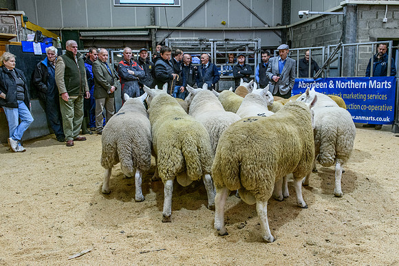 220916 NCC Quoybrae 052