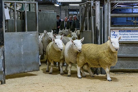 220916 NCC Quoybrae 028
