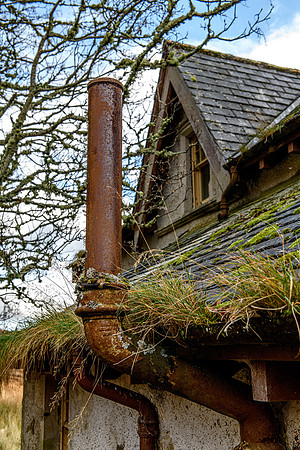 201107 Craggie 087