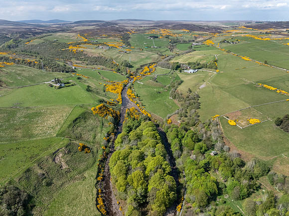 250510 Dunbeath 107
