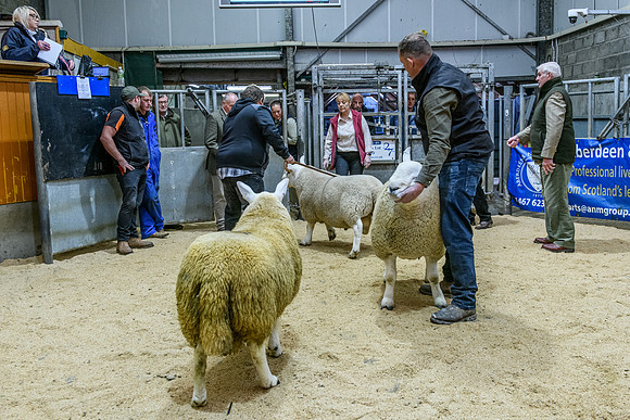 220916 NCC Quoybrae 158
