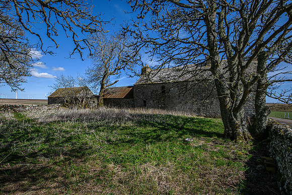 210516 Dalemore 032