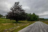 210719 NW 004