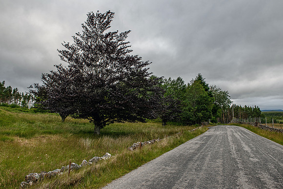 210719 NW 004