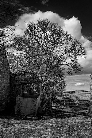210516 Dalemore 083