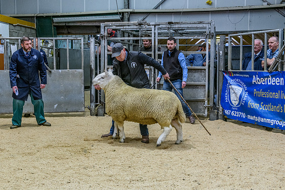 220916 NCC Quoybrae 223
