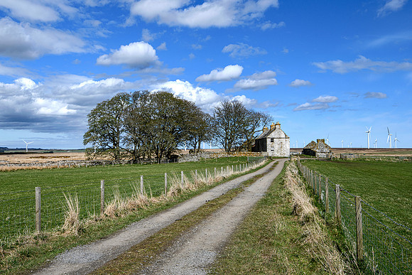 210516 Dalemore 001