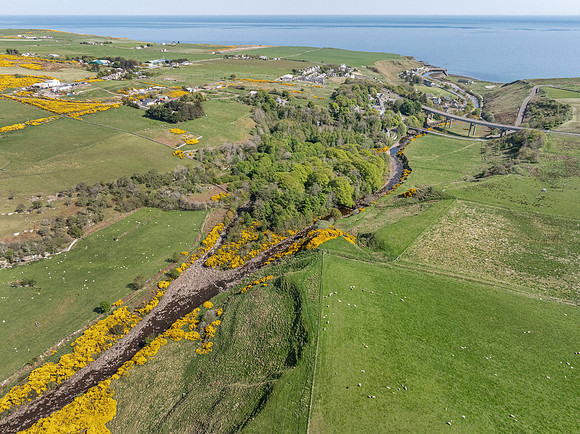 250510 Dunbeath 122